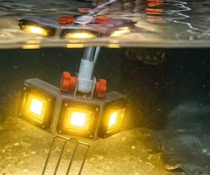 Underwater Marine Life/Flounder Light to Illuminate the Ocean Floor