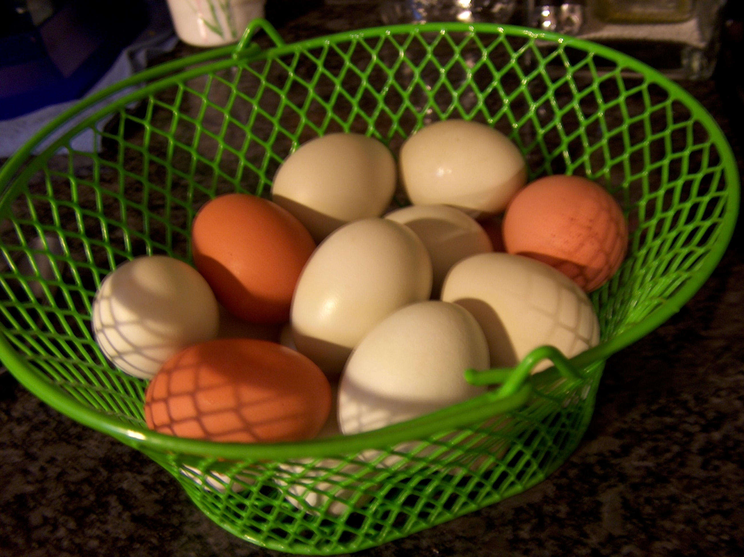 Making Hard Boiled Eggs With FRESH Eggs