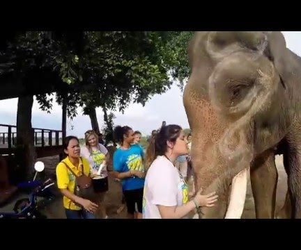 Full Moon Party-Summer Camp Thailand