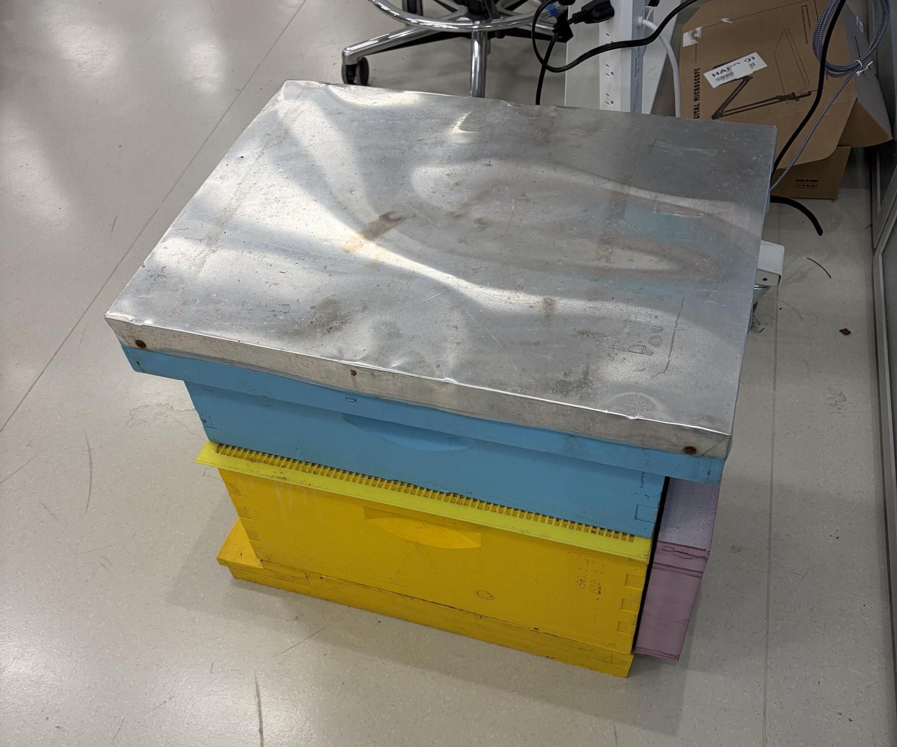 Smart Beehive Winter Monitor