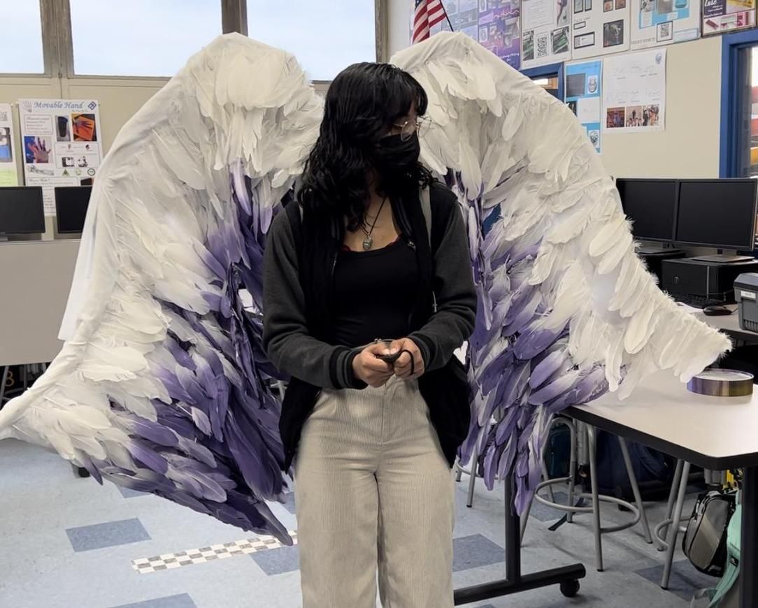 RC Mechanical Wings