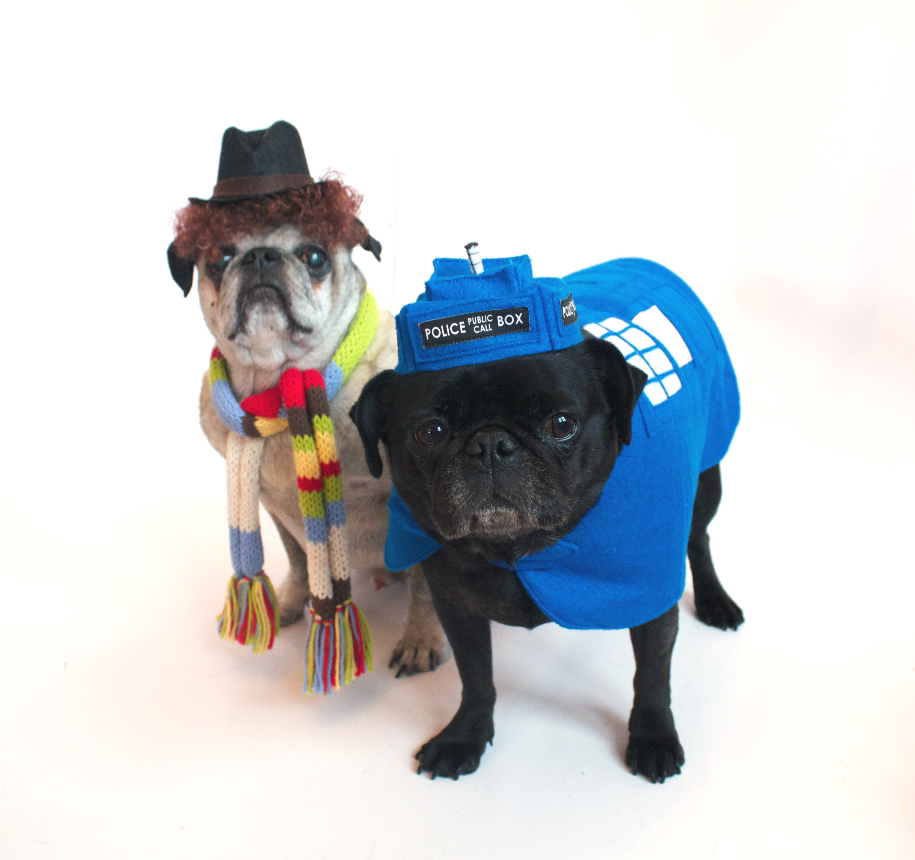 Dr. Who and Tardis Halloween Pet Costume