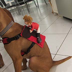 Halloween Puppy Costume - Horse & Jockey