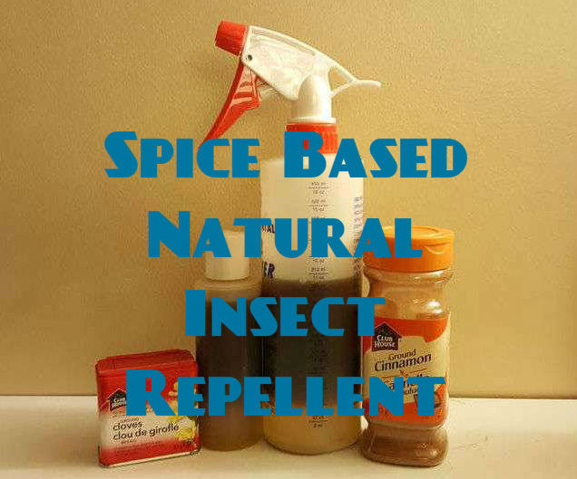 Spice Based Natural Insect Repellent