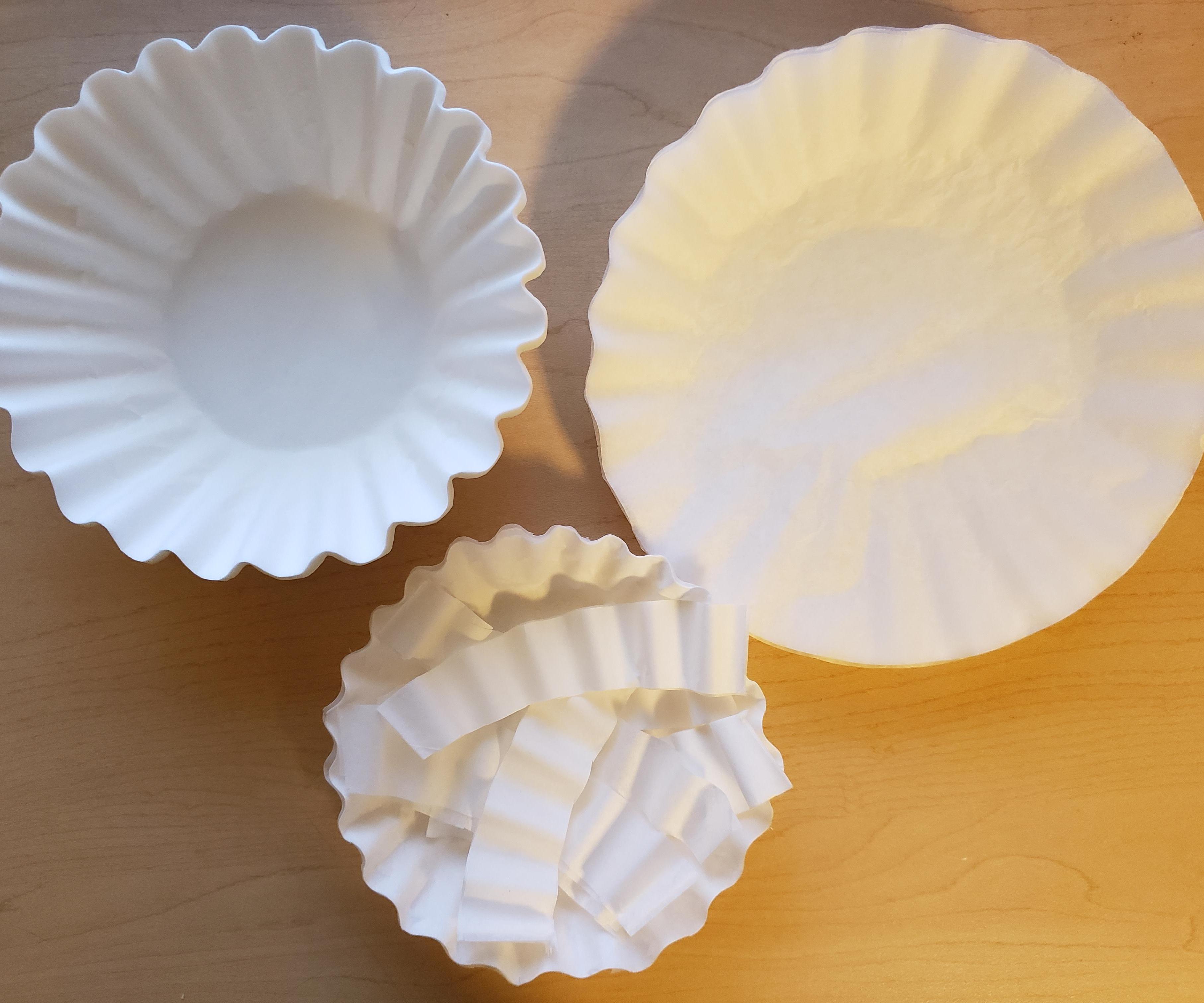 Exploring Gravity and Air Resistance With Coffee Filters