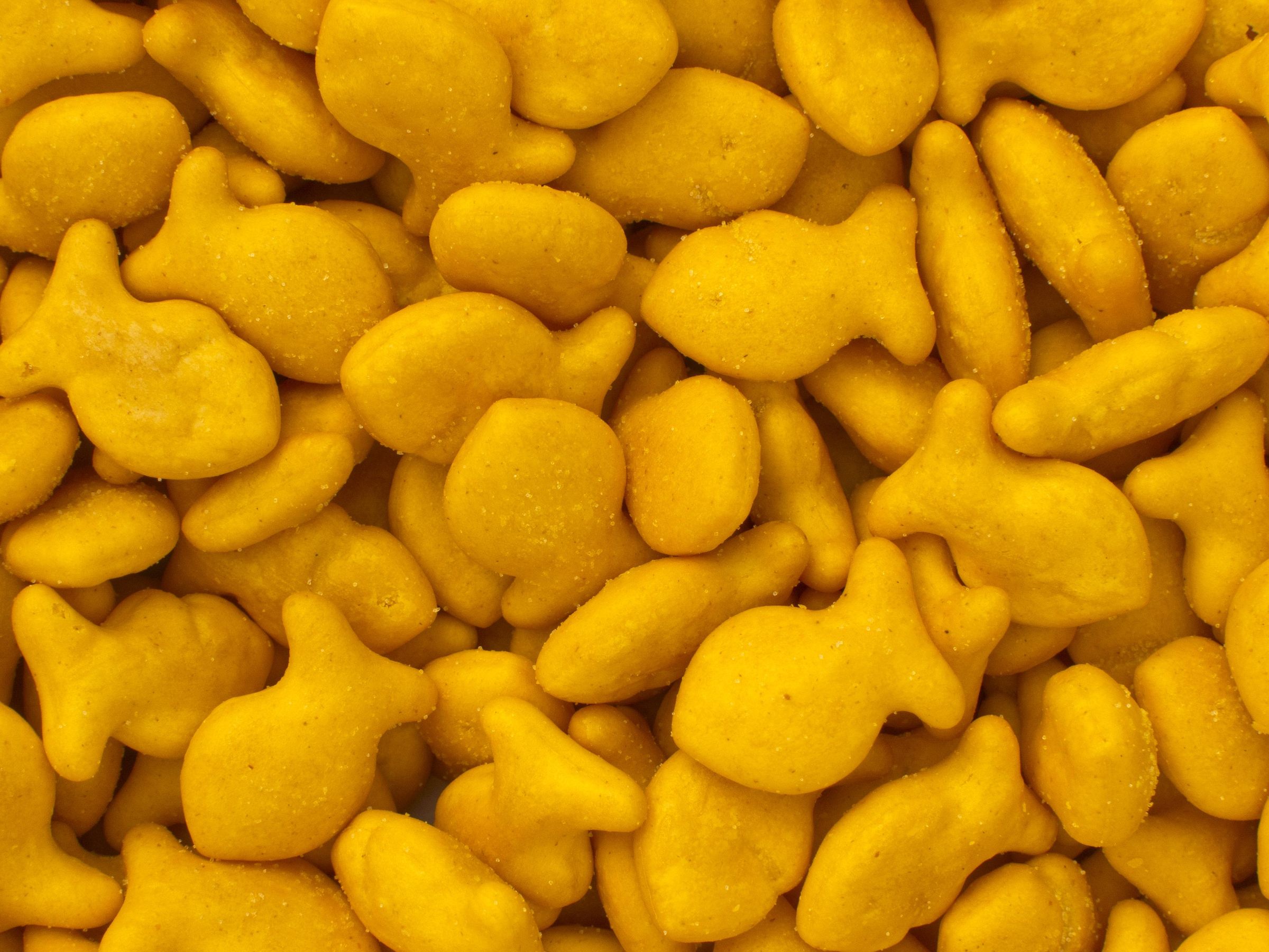 Guess the Flavor 