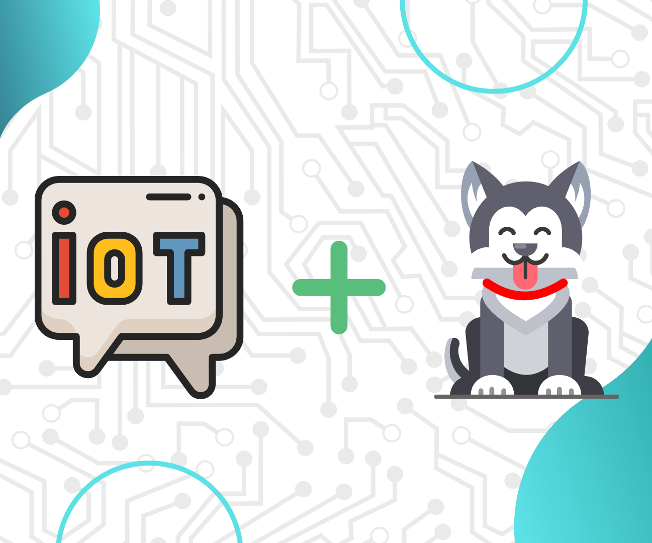 IoT Automatic Dog Feeder for Beginners