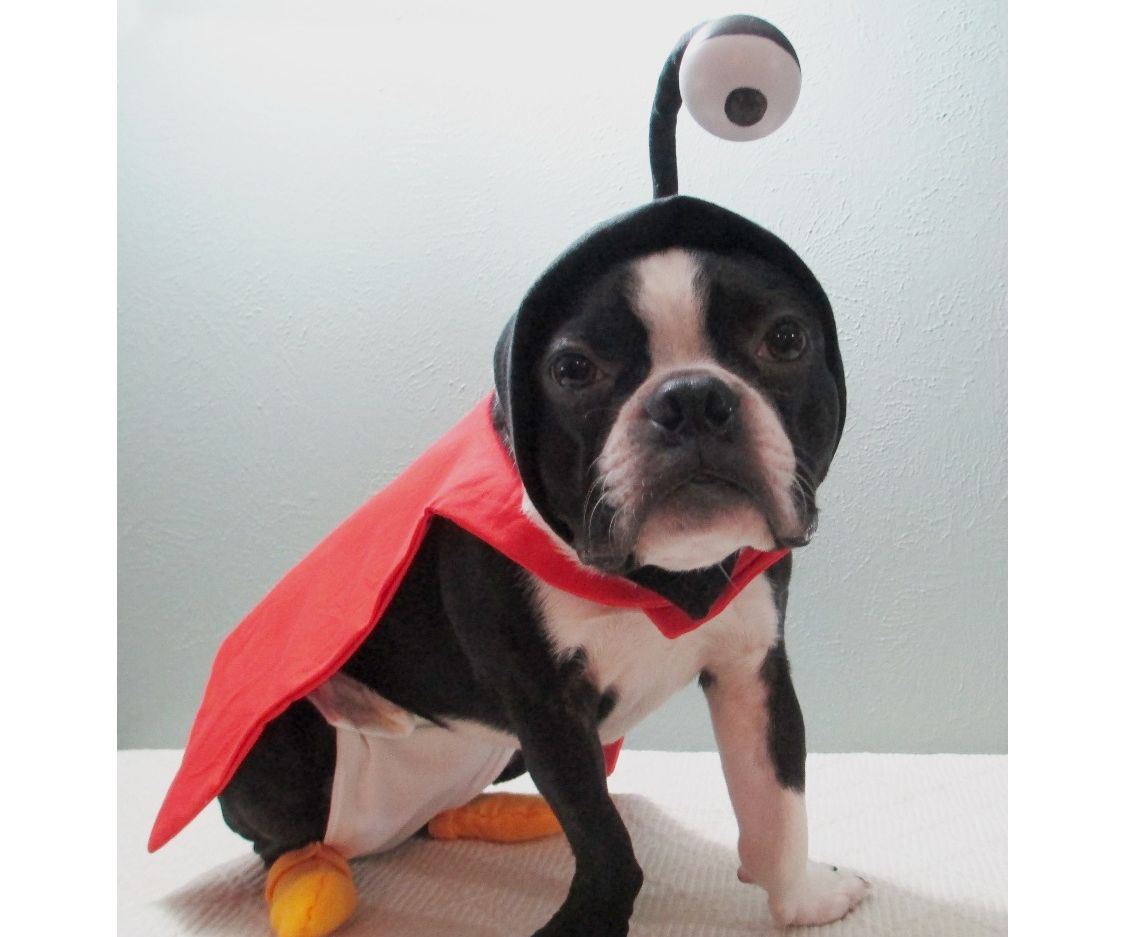 Nibbler From Futurama Dog Costume