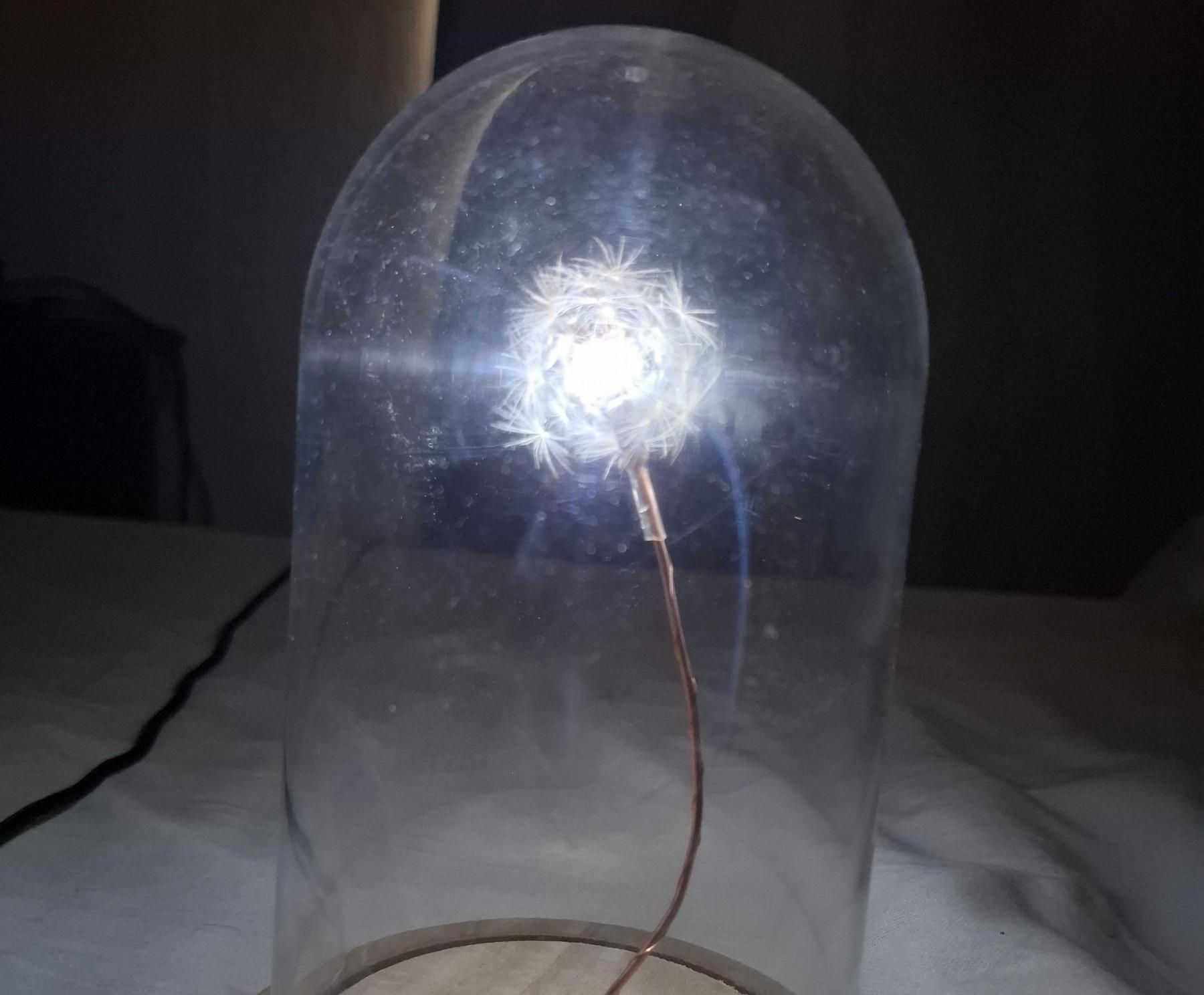 Dandelion Night Light