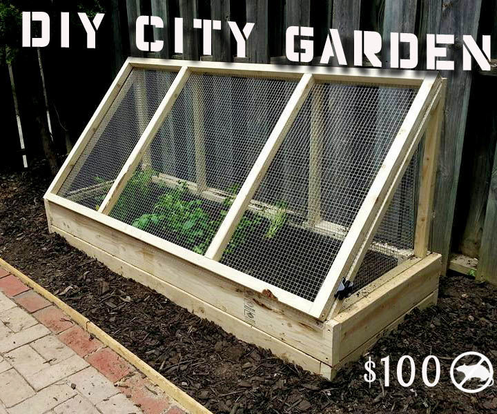 $100 City Proof Garden 