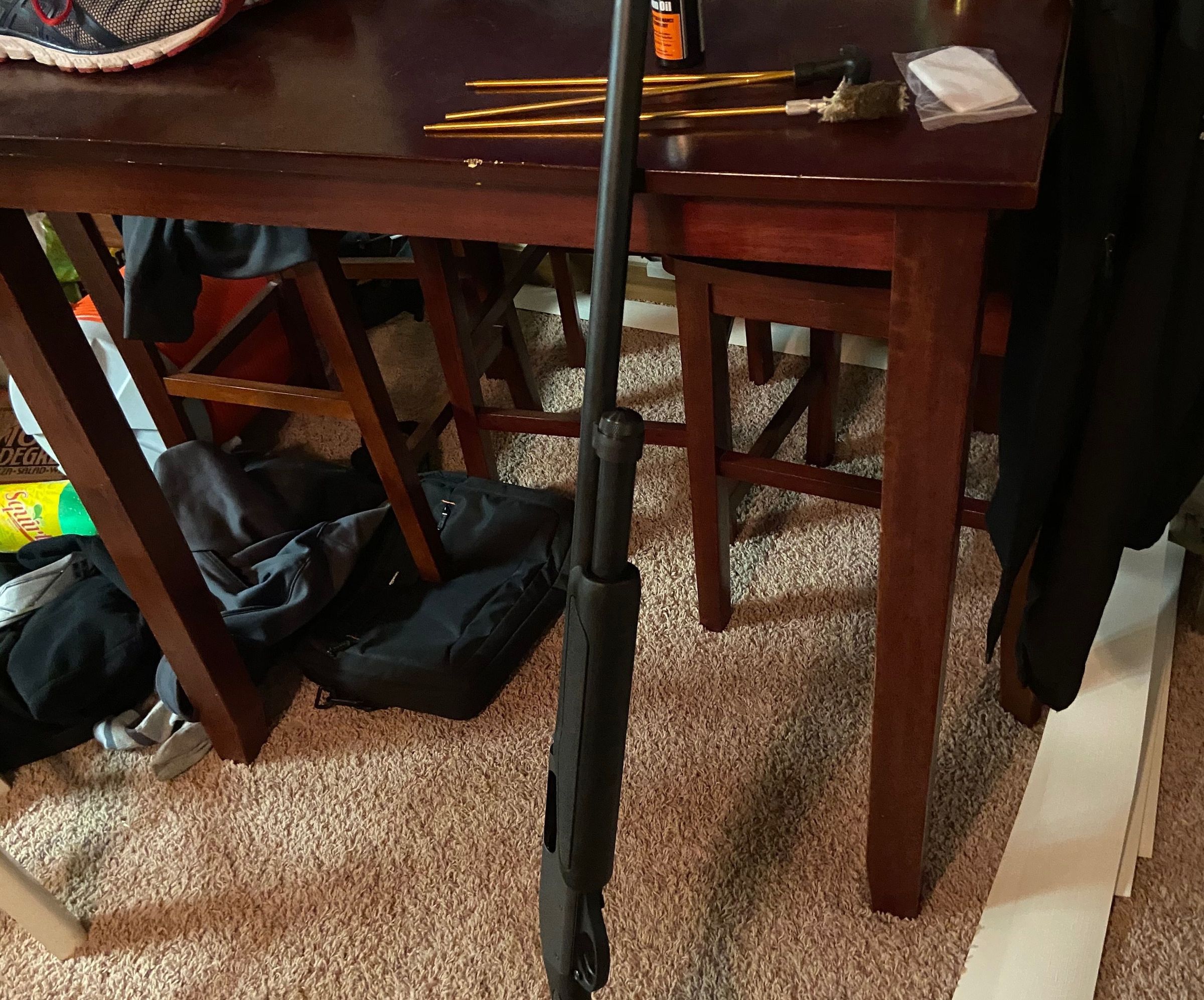 Cleaning a Gun 
