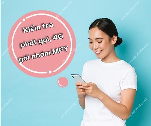 Cách Kiểm Tra Ưu Đãi Gọi, Data Còn Lại Của Gói Nhóm MFY MobiFone