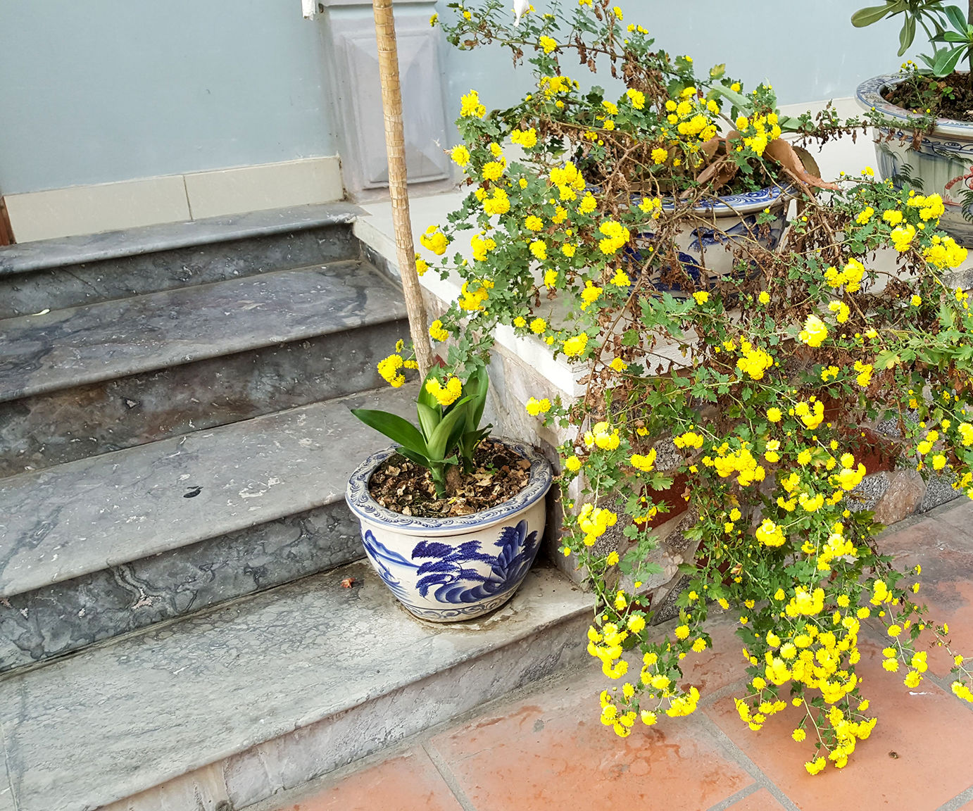 How to Create Your First Garden