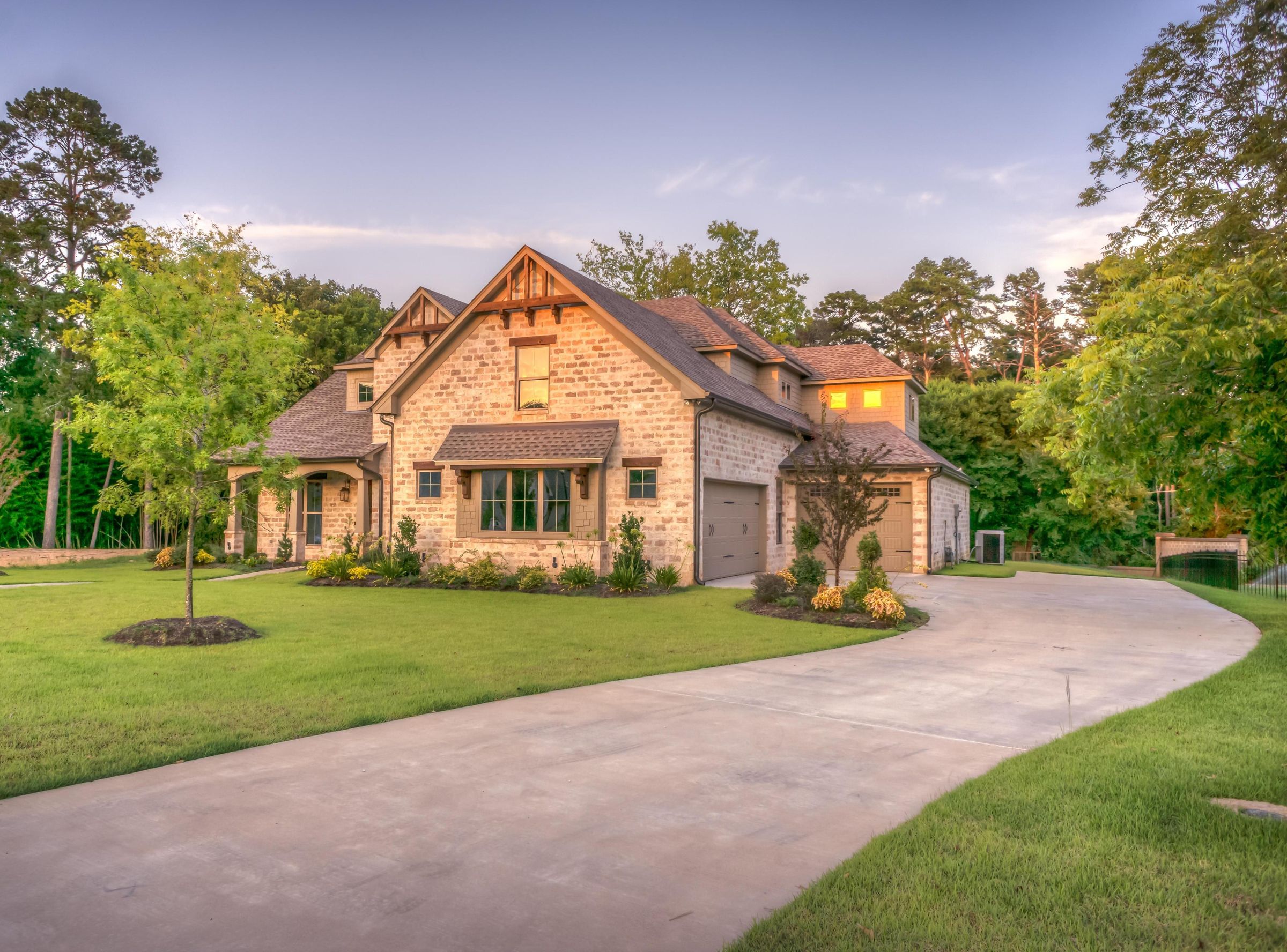 Plant Bald Trees in Your Yard Like a Professional