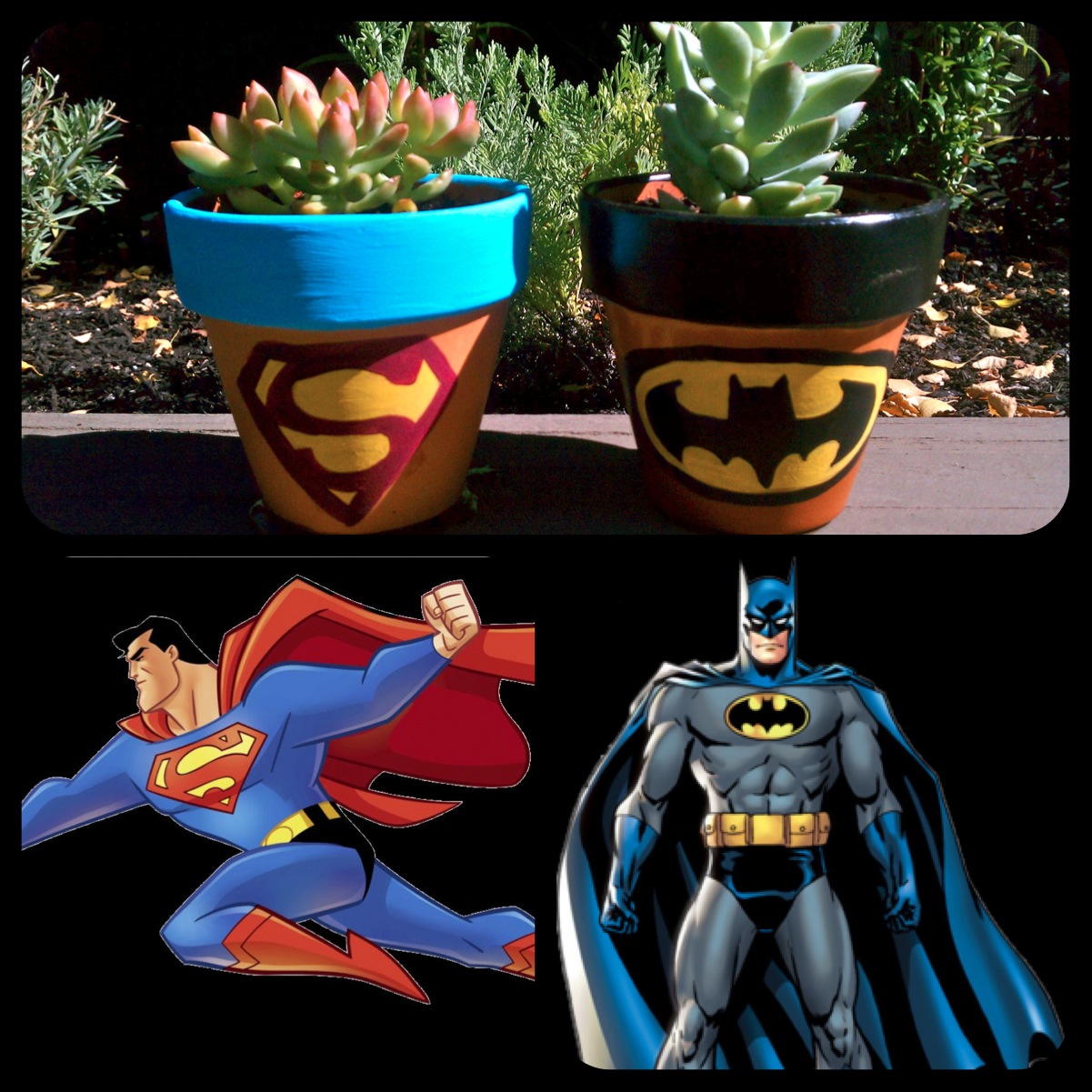 Superhero Logo Painted Pots