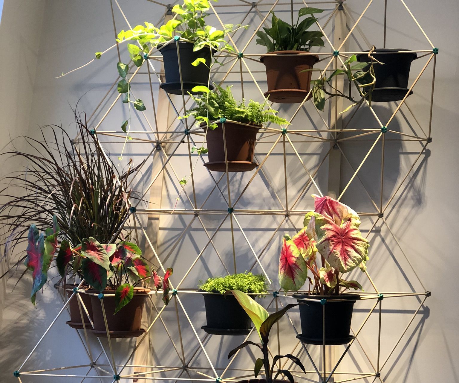 Green Wall Lattice