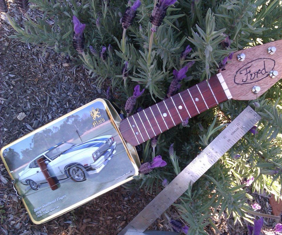 Ford Mini Glovebox Guitar/ukulele