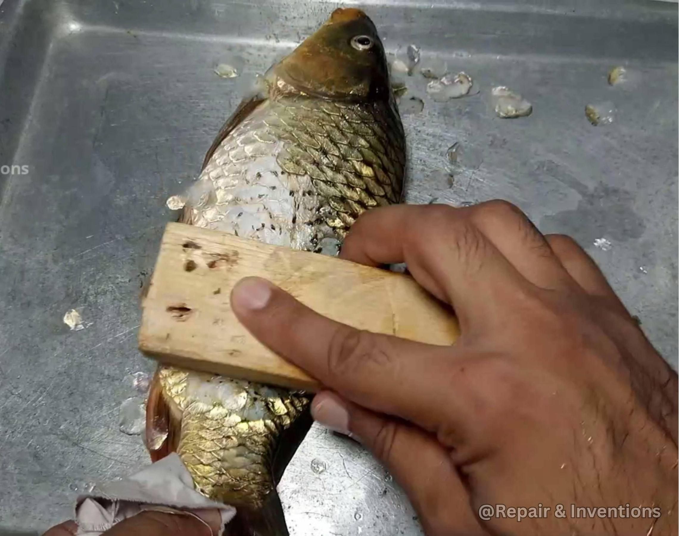 How to Remove Fish Scales Without a Scaler | Easy Fish Cleaning Hack