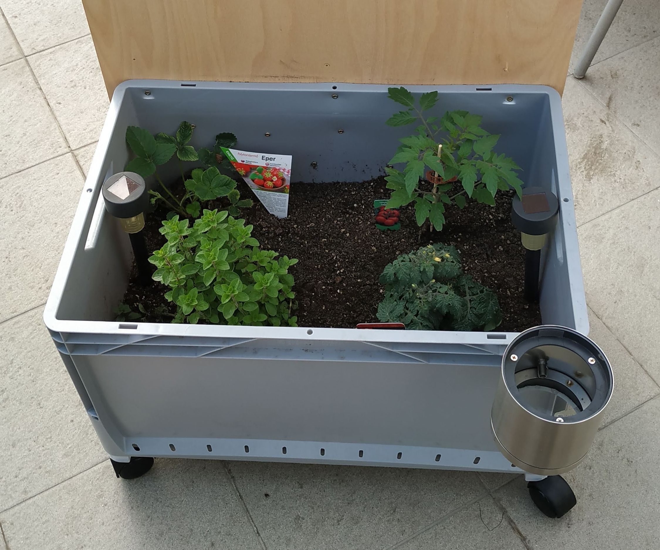 Rolling Plants
