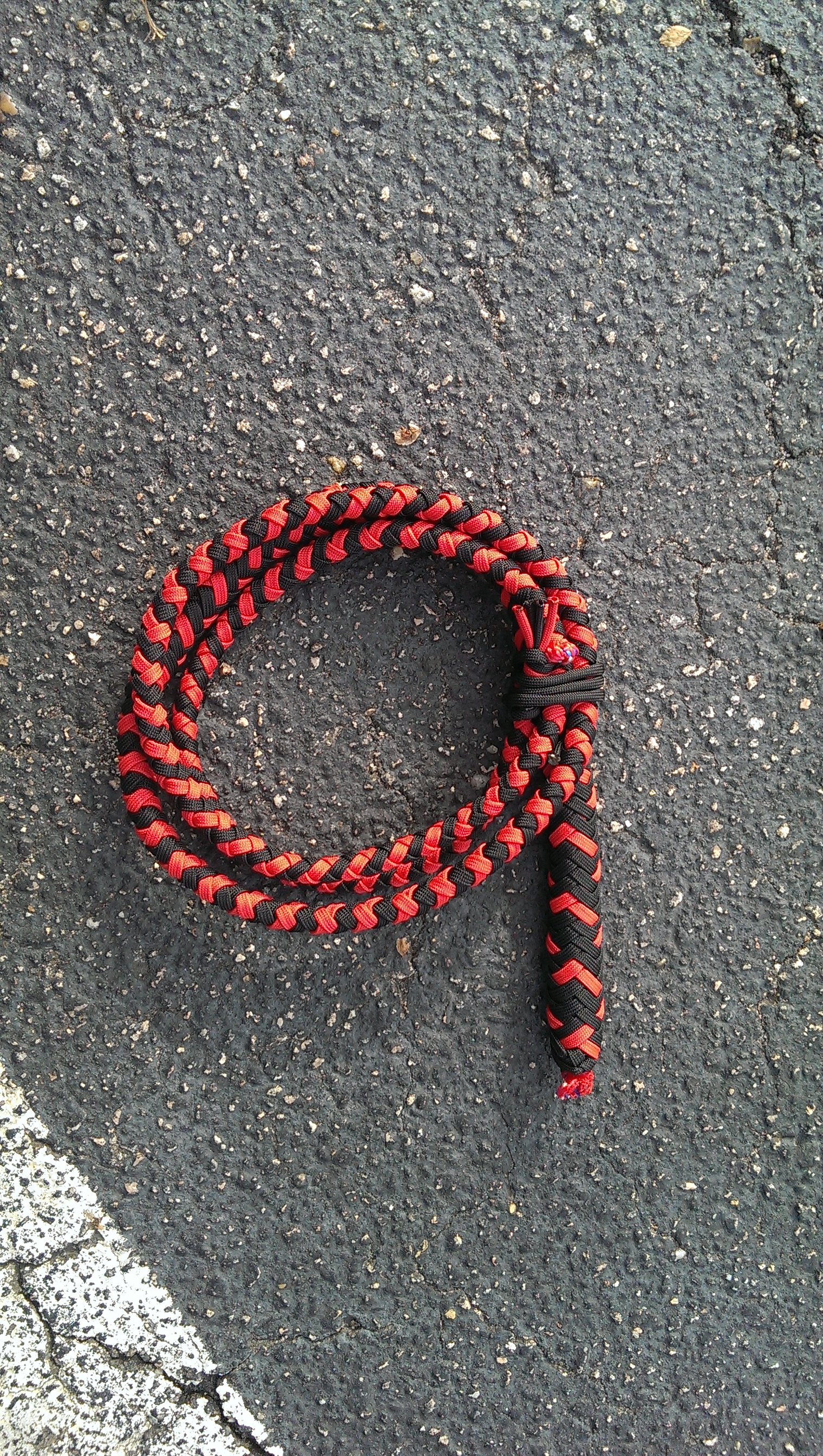 Paracord Whip!