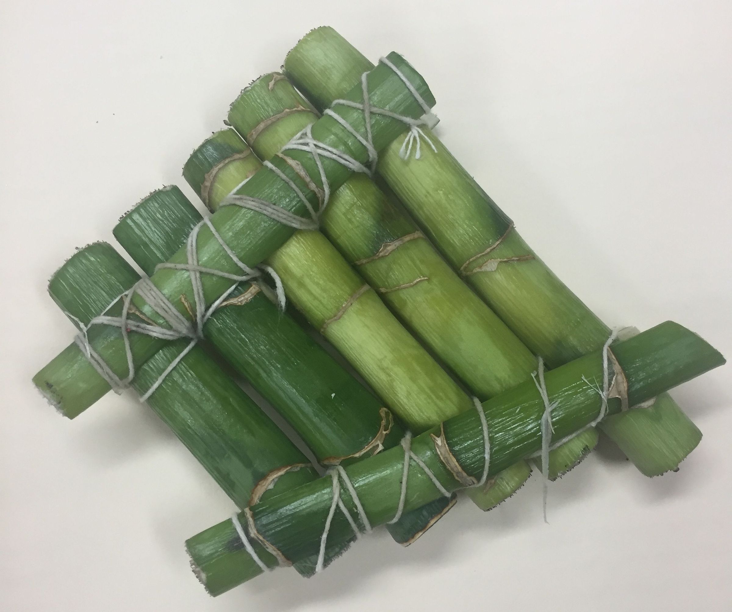 Extension Project #1 - Bamboo Pan Pipe