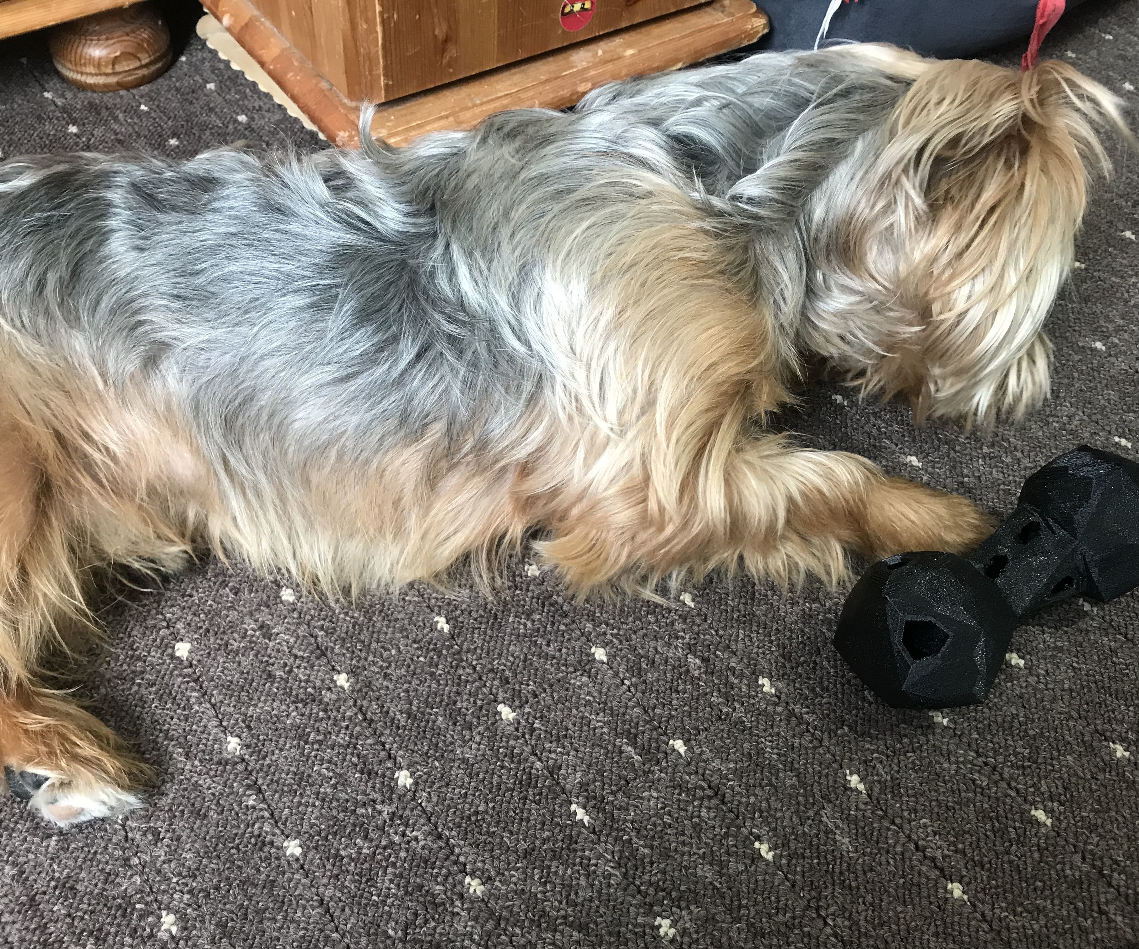 Chewy Dog Bone TOY (3D Printed)