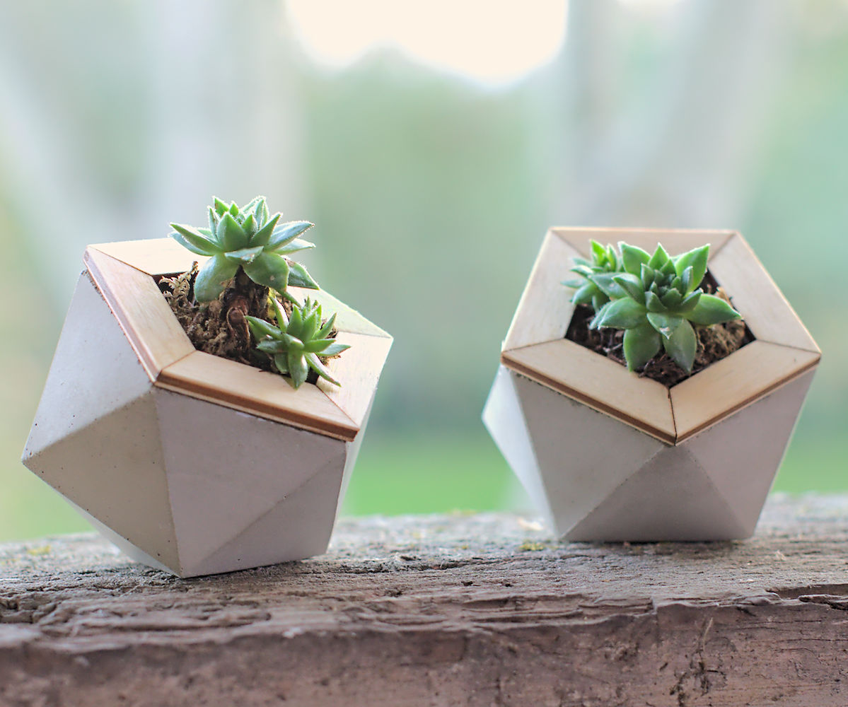 Geometric Concrete Planters Made With Paper Molds