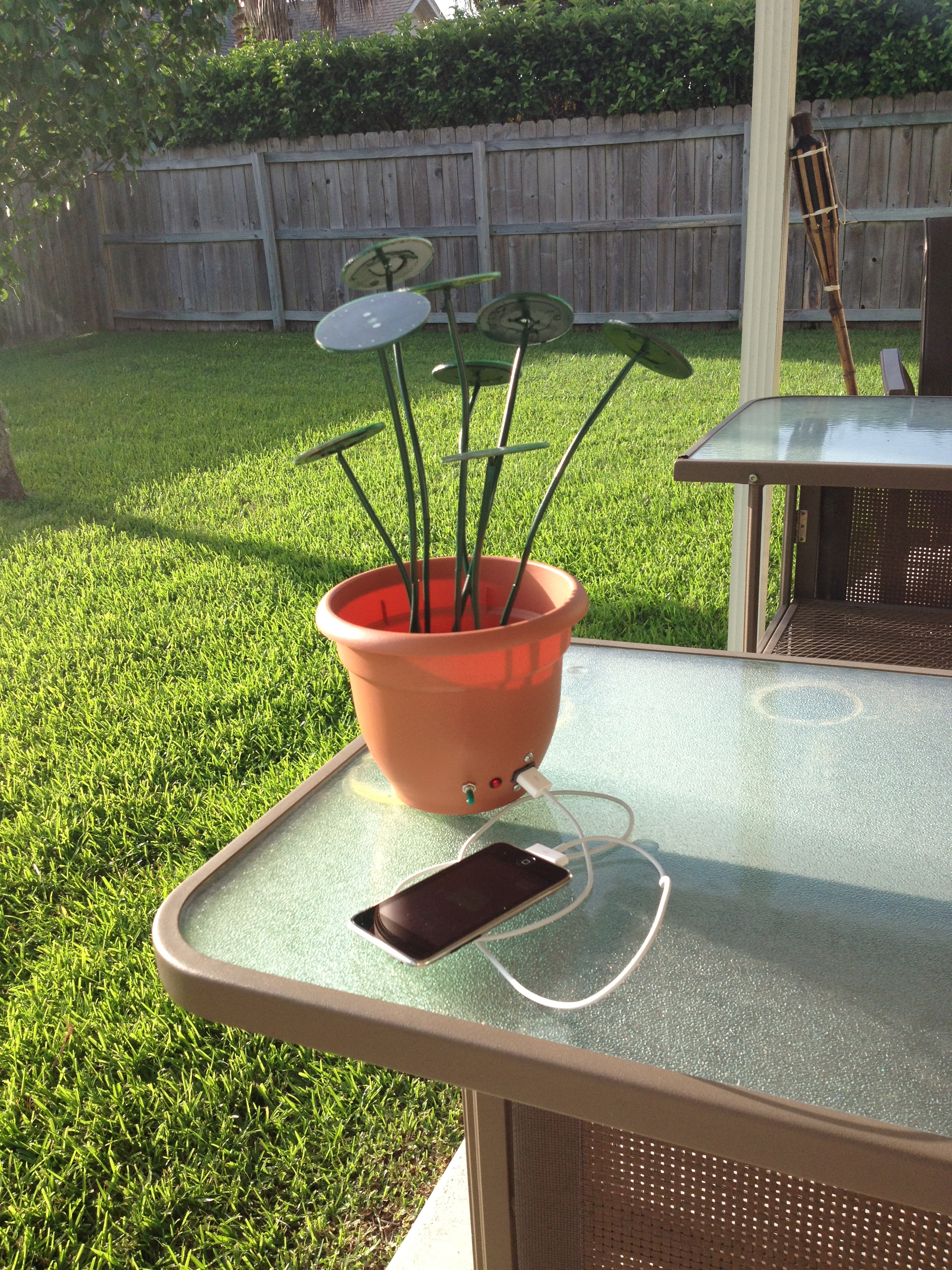 Solar Shrub