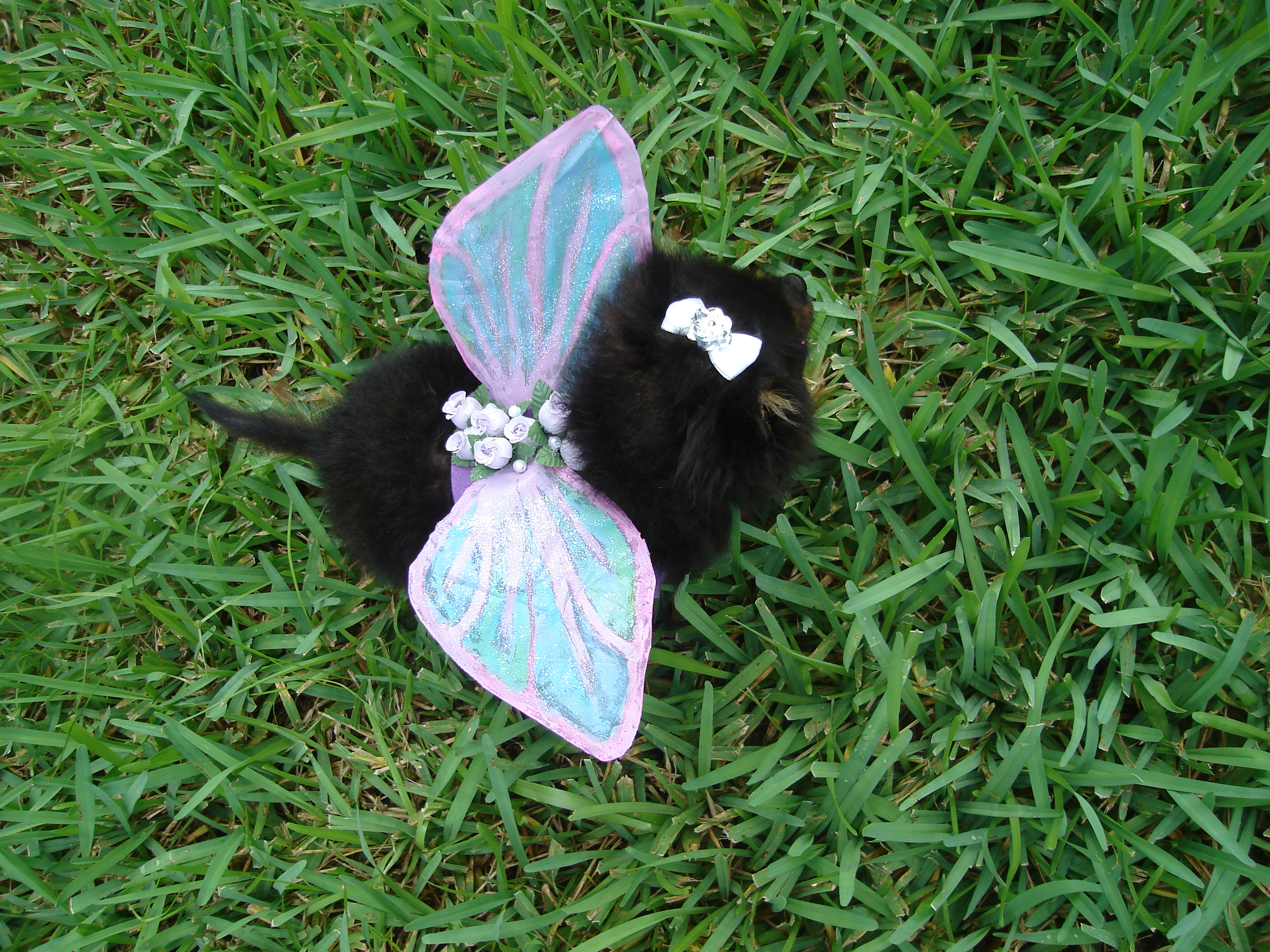 Puppy Fairy Costume Wings