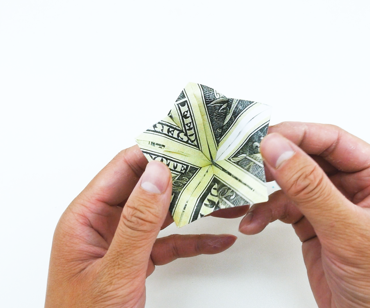 Money Origami Plumeria Flower