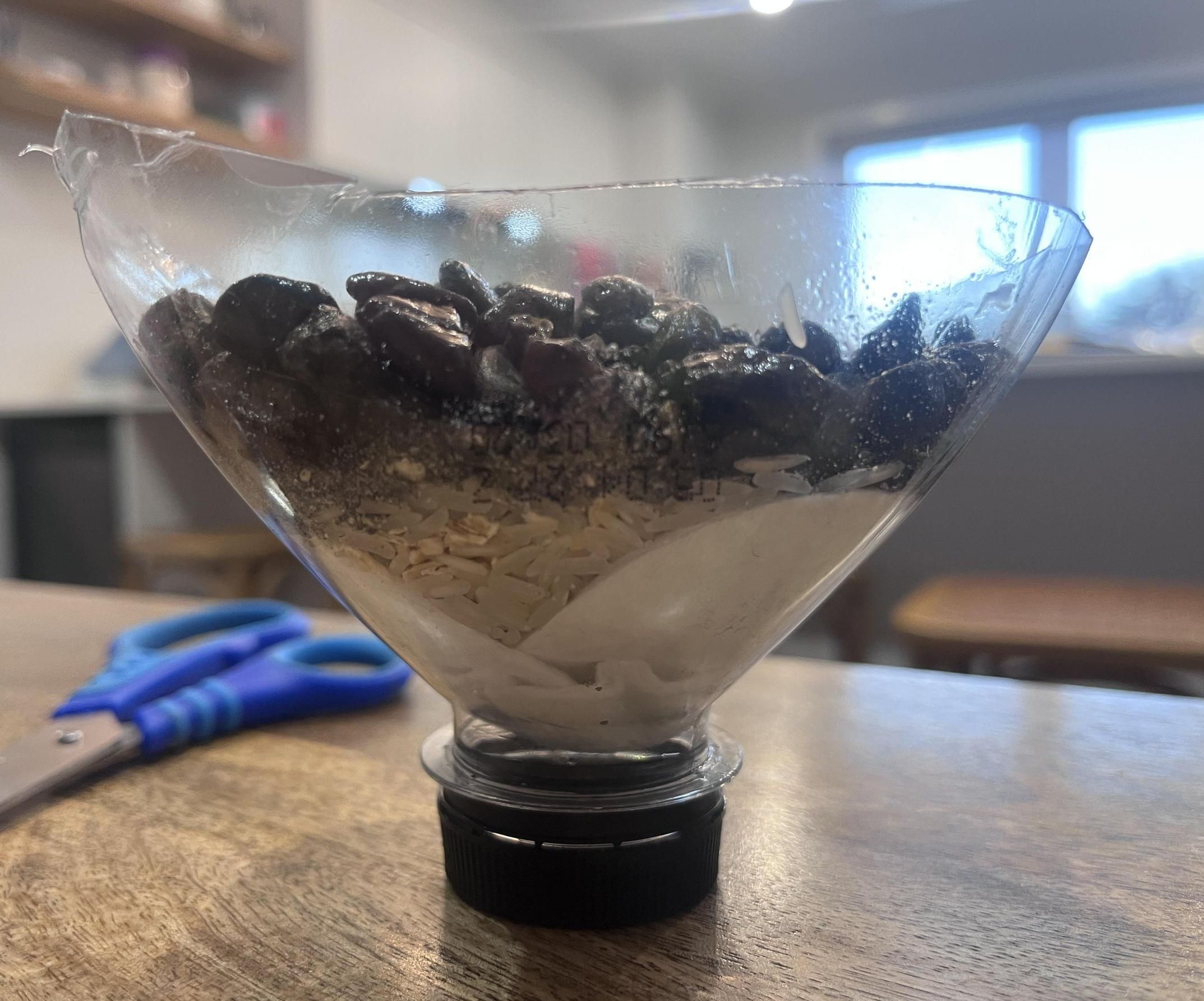 DIY Water Filter