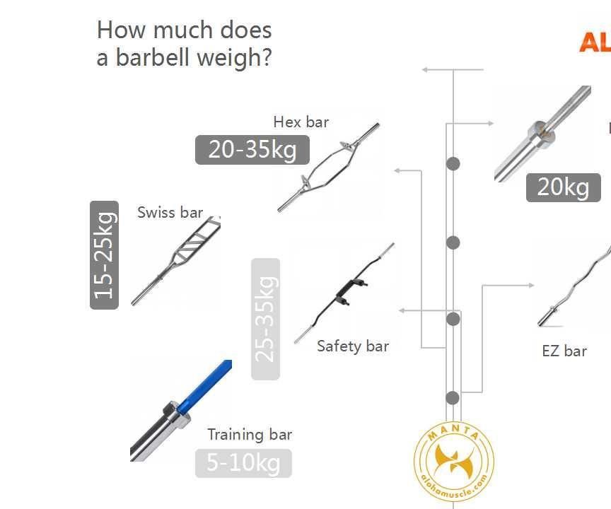 How Much Does a Barbell Weigh?