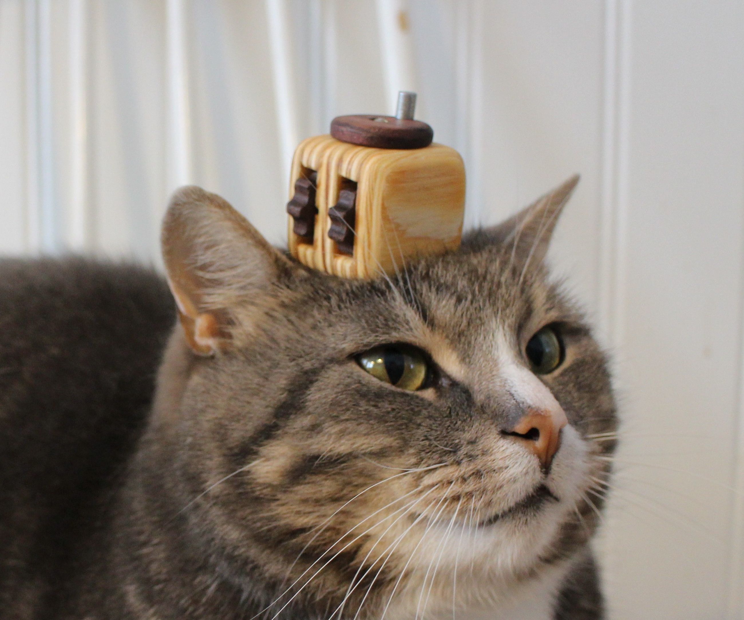 Wooden Fidget Cube