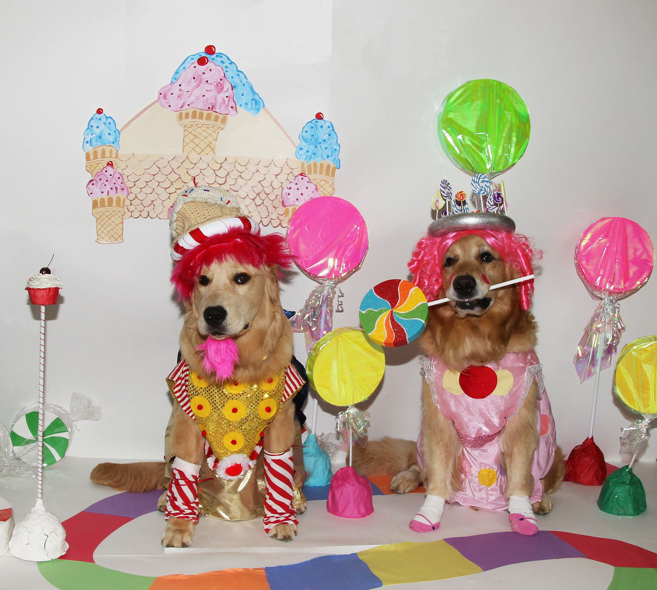 The Game of Candyland Comes to Life Costumes