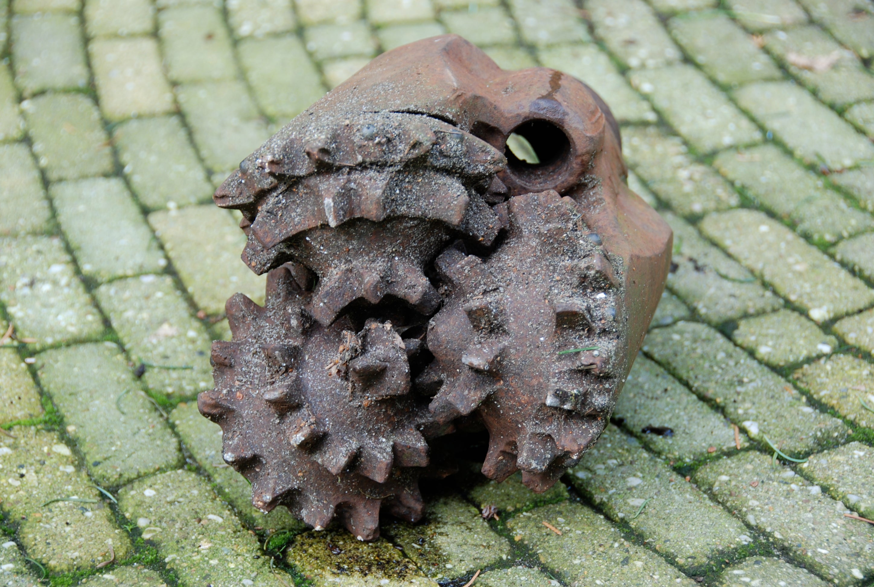 Monster Bit.