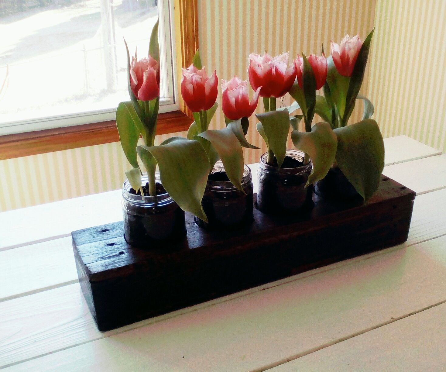 Indoor Flower Garden