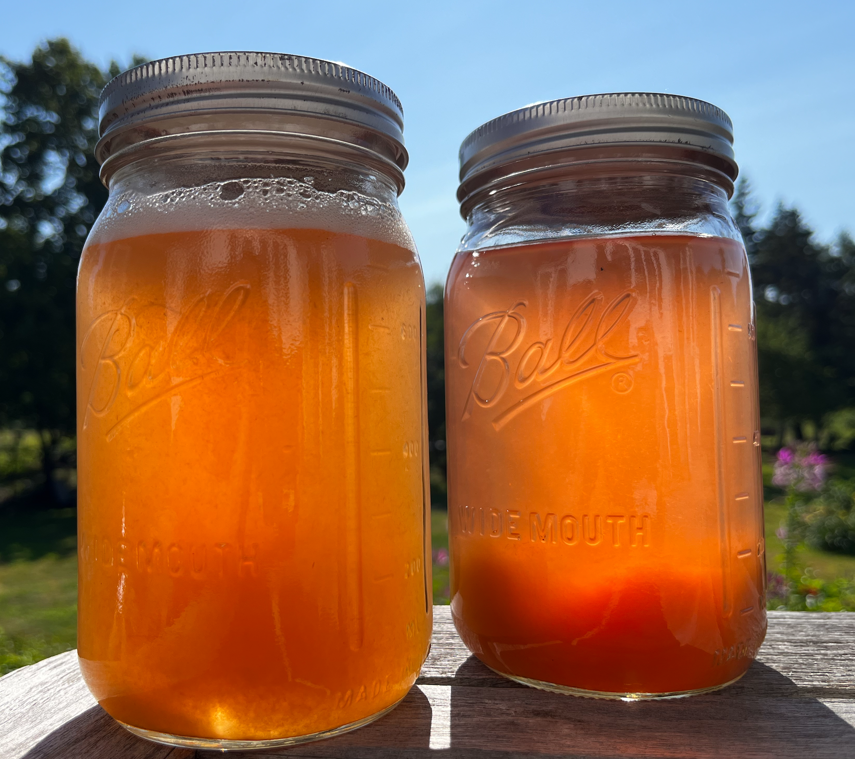 Rhubarb Simple Syrup