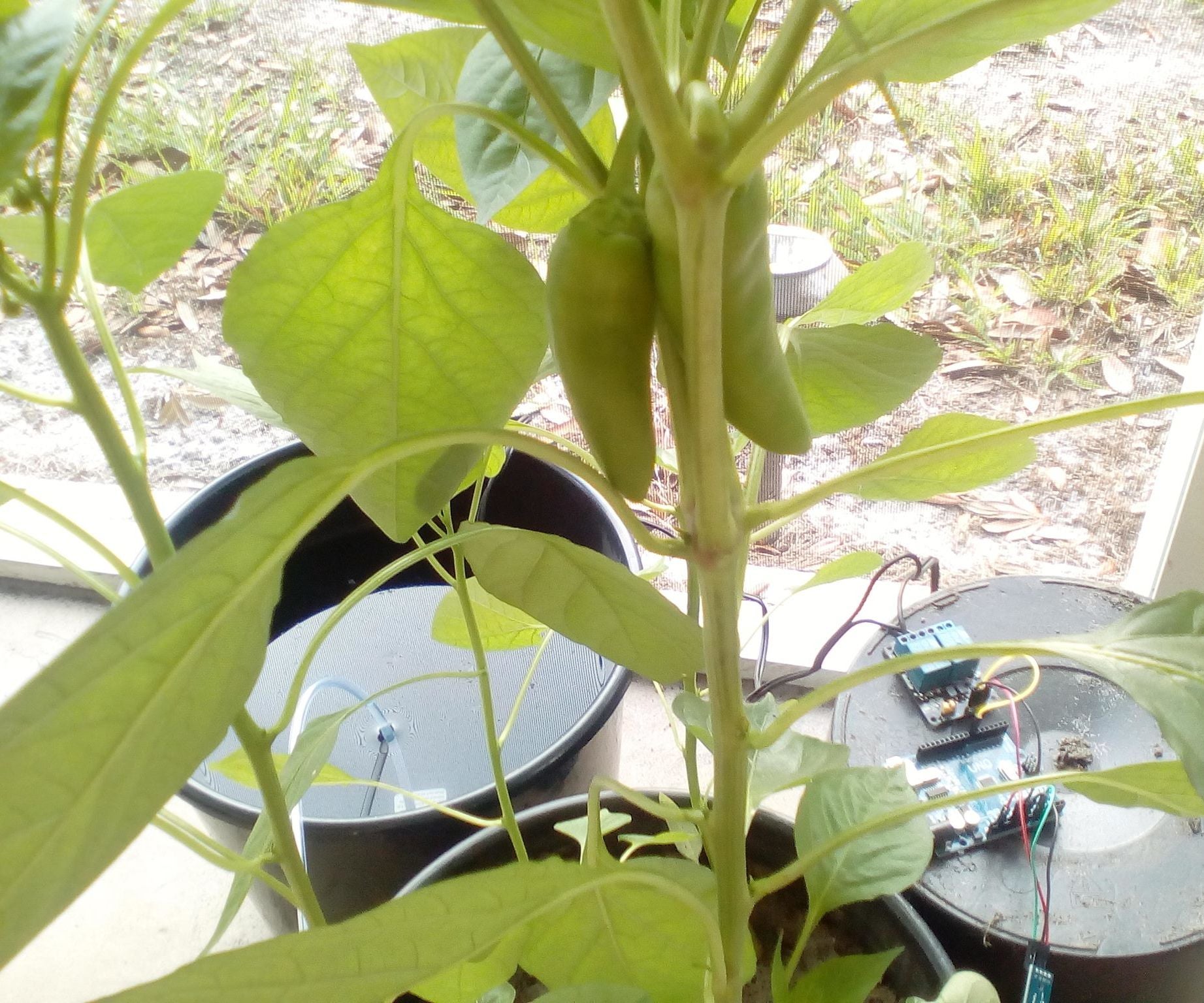 Lazy Man's Automatic Plant Watering Robot