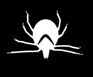 Ixodida Death Cylinders – IE, Tick Prevention Tubes