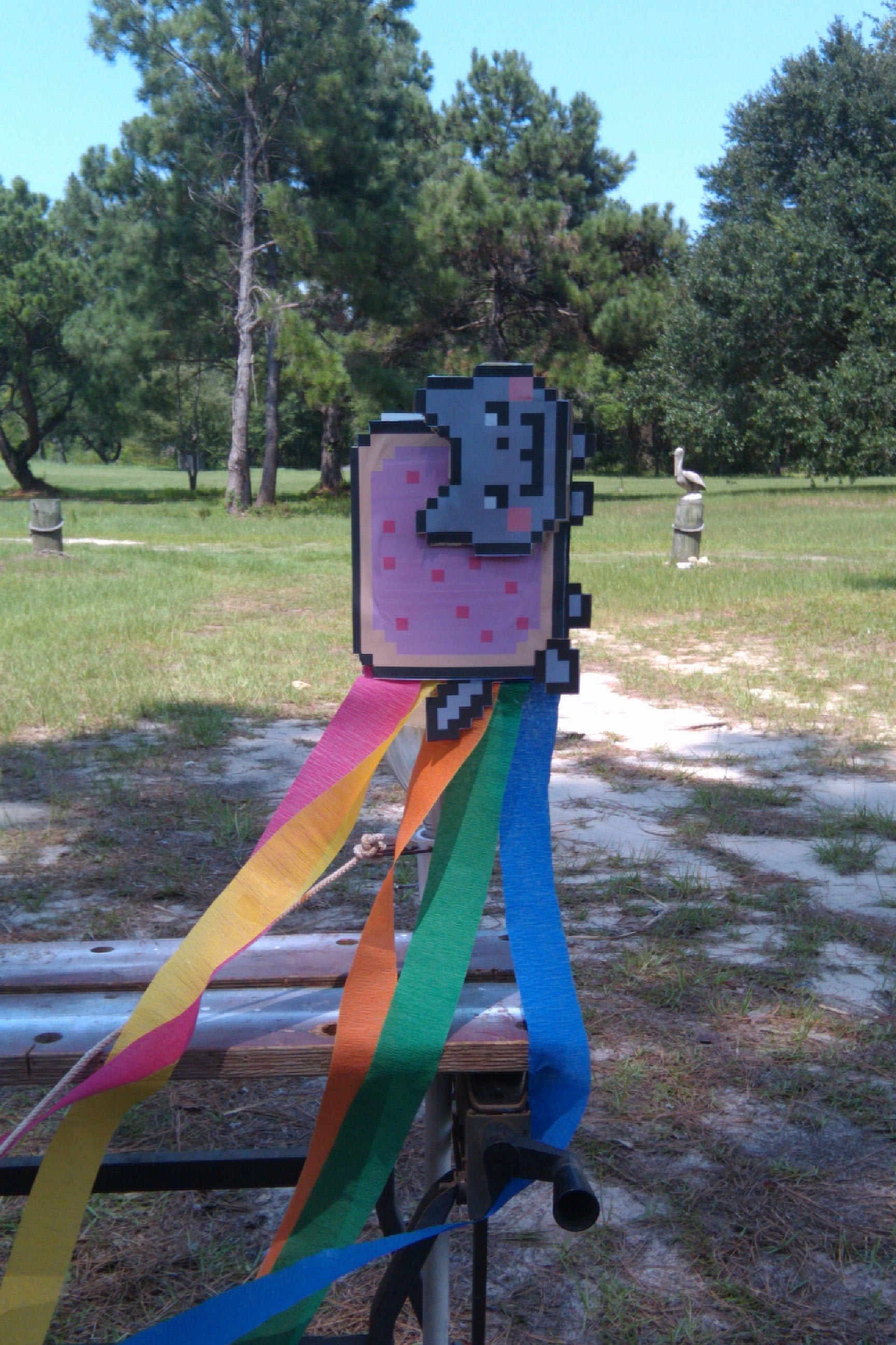 Nyan Cat Rocket