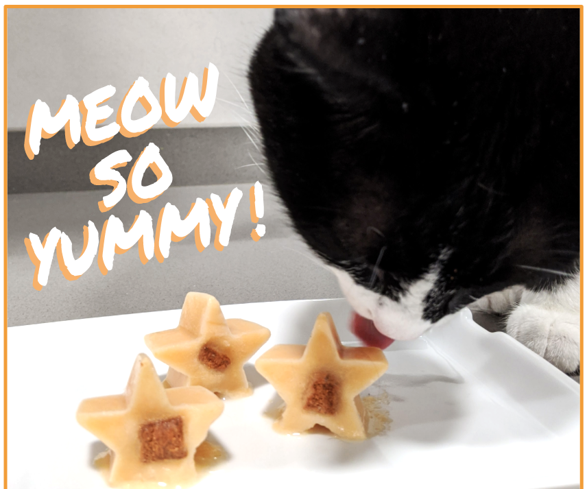 Meow-So-Yummy! Frozen Treats for Cats
